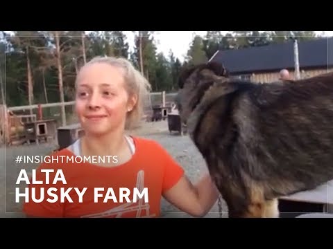 #InsightMoments - Alta Husky Farm