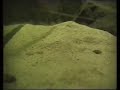 420 liters tropical  Asia fish tank / Asienbecken [1/3]