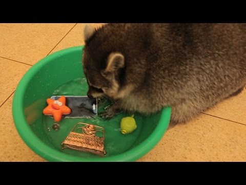 Play YouTube video