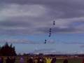 UFOs over a tulip farm in WA.