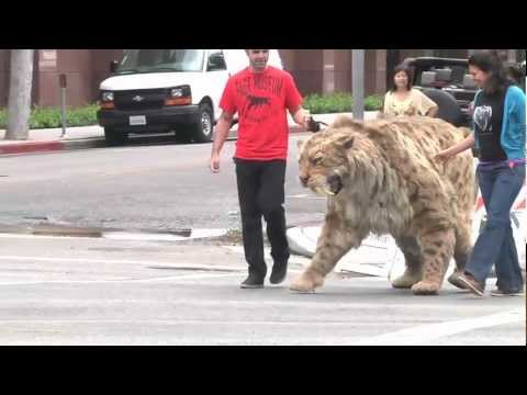 Saber-toothed cat struts down Wilshire Blvd in L.A. and comes home to the Tar Pits!