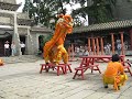 Lion Dance in Foshan Lion Dance in Foshan