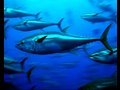 FDA Inactive on Toxic Mercury Levels? - Jane Hightower