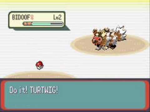 Pokemon Emerald Ruby Sapphire Hack 1