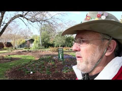 0 David Gary: A life in bloom