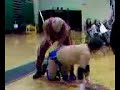 Chris Hamrick vs Kaz Carlton clip part 2