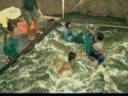 videos de MOJ Prawn Farm Harvest