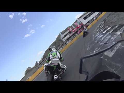 動画