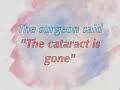Yvonne Fuller My Cataract Experience by former BMJ Artist Yvonne Fuller My Cataract Experience by former BMJ Artist