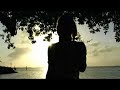 SVEN VAN HEES - IT\