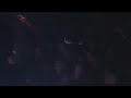 TRIVIUM - RAIN (LIVE NEW HAVEN - 17 October 2008)