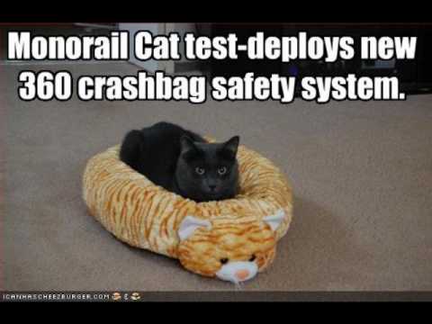 I Can Has Cheezburger - Another Edition of my I Can Has Cheezburger videos.