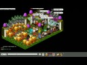 Magiloni scammed Pathing Dino