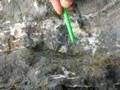 Vetas de minerales variados