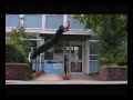 Spalding Parkour