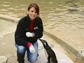 Outtakes: Kate Plays With The Penguins