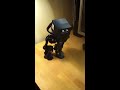 If I can't get a Nao http://t.co/xrQkbOgk I can probably swing a FOBO http://t.co/Ro8QvIf8 #robots