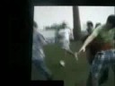 Latin America Fest Immigration Video Latin America Fest Immigration Video