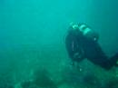 Fin de a�o 2007 en Las Medas con Masbuceo II