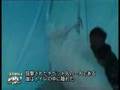 日本では報道されない中国の虐殺
