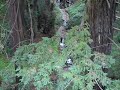 Castro Canyon Waterfall