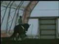 videos de Lugano schooling clip 1.wmv