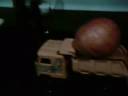 the amazing fruit 1