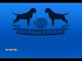 vom Hause Edelstein puppies