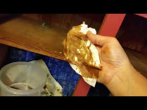 video-linktoworks-Remove 30 years old cooking grease off kitchen walls...