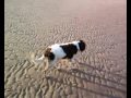 Josh at the seaside
