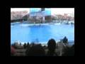 videos de Aquário de Nagoya