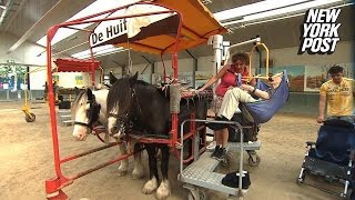 Wheelchair Bound Lady Gets To Ride A Horse One Last Time