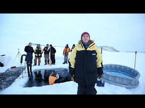 Australische Antarktis-Expeditionsteilnehmer feiern ...