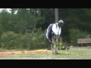 Paragliding in Pemberton, BBC, Canada