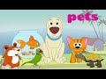 Learn About Pets - Interactive Learning Videos