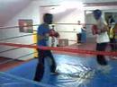 Boxeo Kid Telde