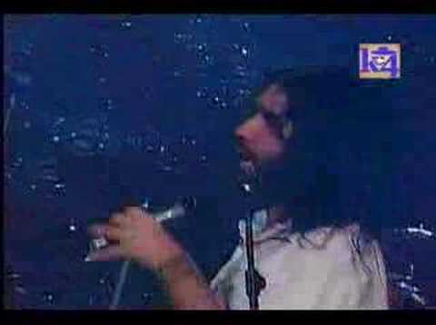 mix de gondwana en vivo