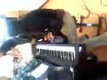 sO Kii f� du piiano