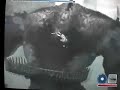 ???????