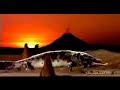 homer-evolutionevolucion-de-homer.html