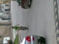 bmx in fondarella