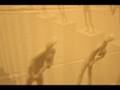 The Meaning of Life for 25 Frames