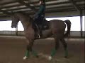 2nd ride on Danny with Volker Brommann.  A lot was learned in two days that I wish I could squash on to two short videos, but I just picked a few parts.  For some reason I didn't get much canter in this one.  No reason really, just happened and the video is plenty long enough to put you to sleep.  It is also unfortunately really dark.  I did my best to lighten it, but it isn't the best light quality, hopefully it is still veiwable.We worked a little more on half passes and those came out a little better.  Of course in the canter he had to change (miss beat, not a perfect flying change he is still learning those too).  I don't want anyone to worry about us rewarding him for it.  He is learning them and he is already balanced in the counter-canter, he is just aiming to please.There was a bit more half-steps/piaffe work.  He is doing so very well and really wants to do it.As mentioned in the previous video neither me or my horse are perfect.  We have plenty to learn and enjoy doing so.  Hopefully this video left with commentary can also be educational to others.