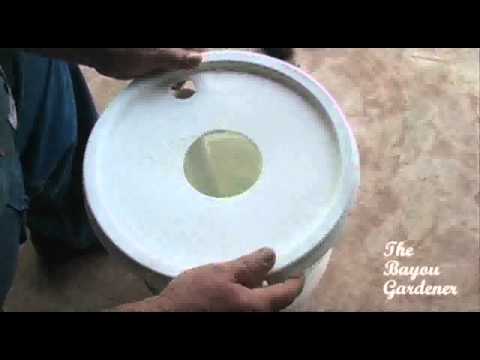 how to fertilize butter beans