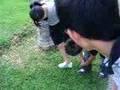 wei wei shoe