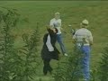 Viva La Bam (Precuela) Viva La Bam (Precuela)