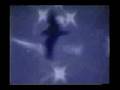 G-Ampere Yellow Butterfly