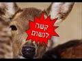 סרטון מטורף על השיר סע לאט זה פשוט פשוט מצחיק
