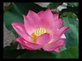 Prabhat Samgiita-Mor ghare ele na bale cale gele