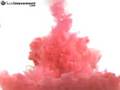 Corn Starch Implosion